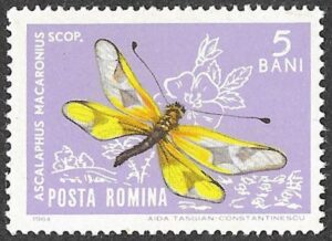 1964 Insects. 5B.