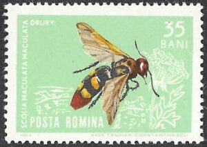 1964 Insects. 35B.