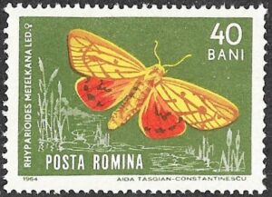 1964 Insects. 40B.