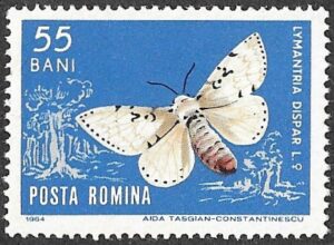 1964 Insects. 55B.