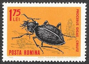 1964 Insects. 1.75L.