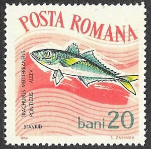 1964 Fish. 20B.