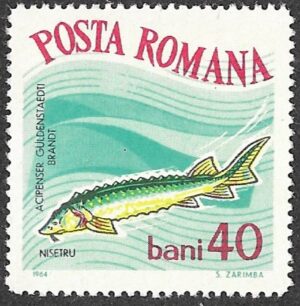 1964 Fish. 40B.